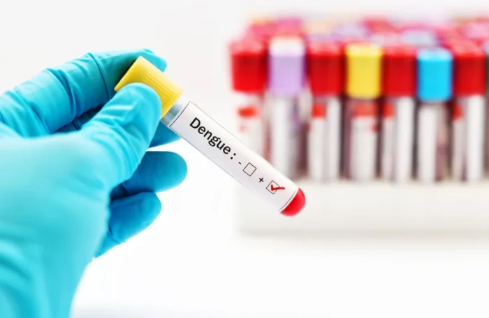 Dengue Fever Screening and Treatment Services