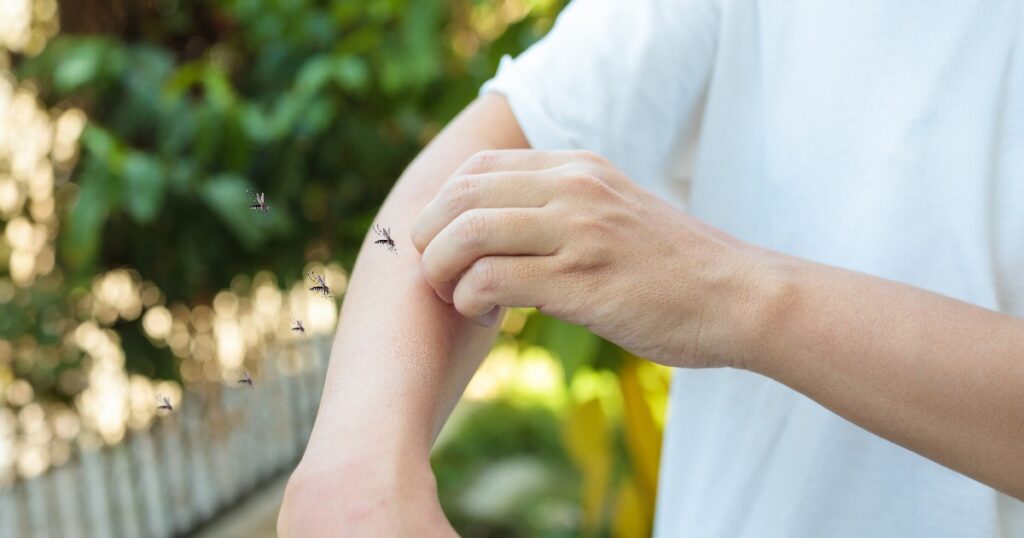 japanease encephalitis